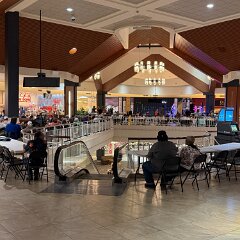 IMG 4550