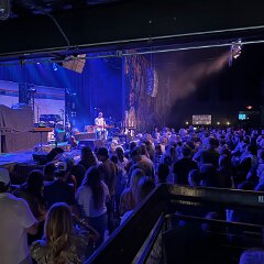 IMG 6551